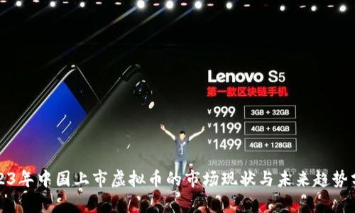 2023年中国上市虚拟币的市场现状与未来趋势分析