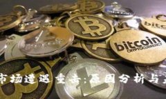 虚拟币市场遭遇重击：原因分析与未来展望