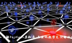 深入了解PayCash虚拟币：未来的数字支付解决方案