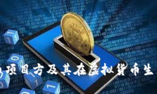 探索海盗币项目方及其在虚拟货币生态中的角色
