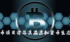 探索海盗币项目方及其在虚拟货币生态中的角色