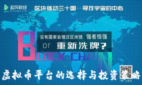   
虚拟币平台的选择与投资策略