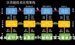 电脑版TP钱包未显示BSC链的原因及解决方案