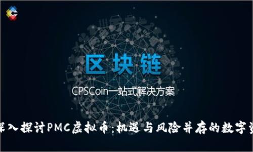 : 深入探讨PMC虚拟币：机遇与风险并存的数字资产