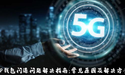 
TP钱包闪退问题解决指南：常见原因及解决方案