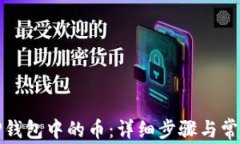 如何找回TP钱包中的币：详细步骤与常见问题解答