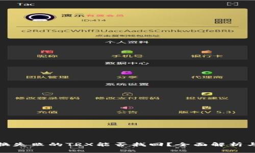 tp钱包兑换失败的TRX能否找回？全面解析与解决方案