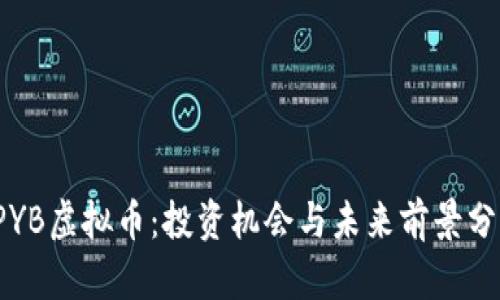 TPYB虚拟币：投资机会与未来前景分析