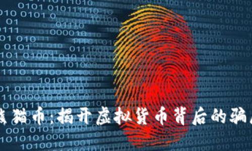 熊猫币：揭开虚拟货币背后的骗局