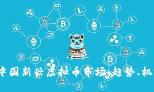 2023年中国新兴虚拟币市场：趋势、机遇与挑战