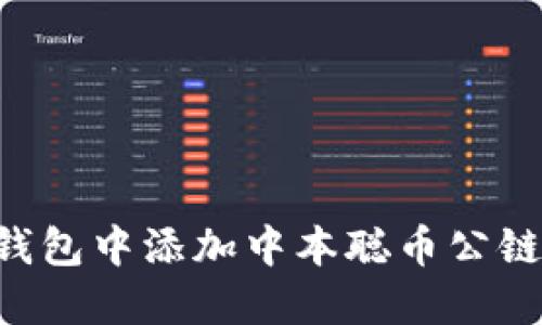 如何在TP钱包中添加中本聪币公链：详细指南