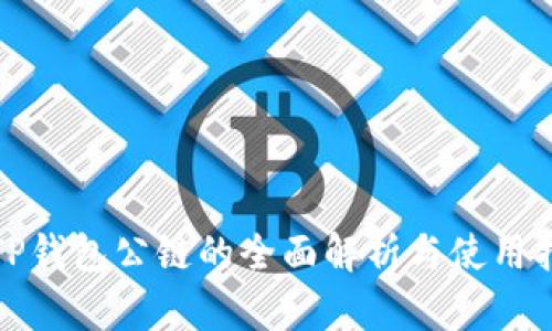 : TP钱包公链的全面解析与使用指南