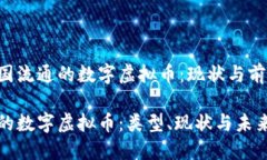 在中国流通的数字虚拟币：现状与前景中国的数